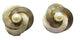 Vintage 1960s Ivory-Colored Pearl Swirl Gold-Toned Clip-On Earrings